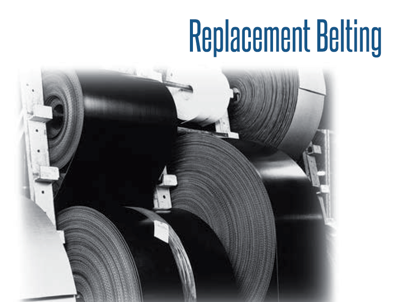 Conveyor system replacement belt
