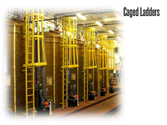 Picture for Vertical Caged Ladders