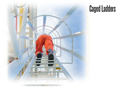 Cage ladders will help keep your employees safe and your company up with OSHA fall protection regulations.