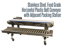 Food Grade Horizontal Plastic Belt Conveyor with Adjacent Packing Station