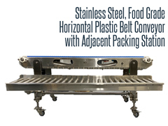 Food Grade Horizontal Plastic Belt Conveyor with Adjacent Packing Station