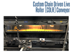 The custom CDLR conveyor system was specifically designed to withstand the harsh environment of a blast room for a monument company.