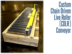 The custom CDLR conveyor shown at the manufacturing plant, ready for installation.